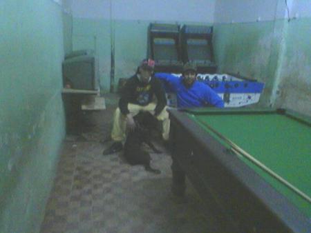 Moi Et Mon Ami Anwar Et mon Chien de chasse